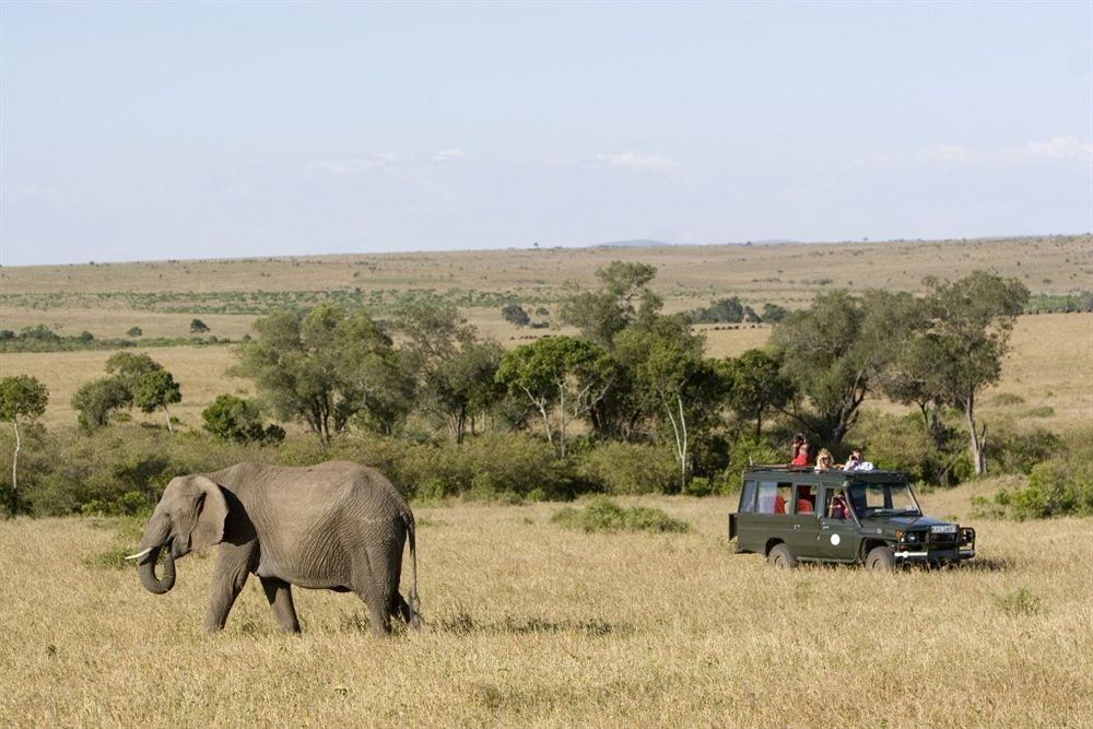 Hotel Rekero Camp Mara Simba Exterior foto